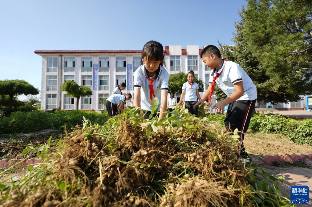 不朽情缘试玩
